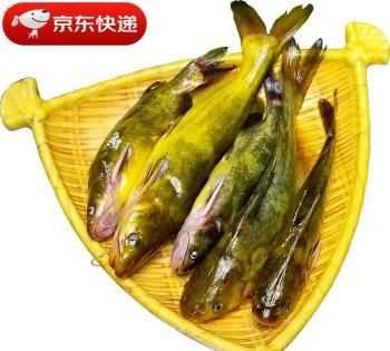 黃古魚(yú)的營(yíng)養(yǎng)價(jià)值及功效與作用
