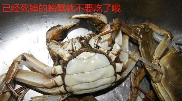 蒸螃蟹需要多長時間才能熟，螃蟹需要蒸多長時間？圖4