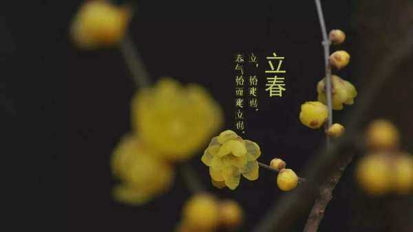 清明前面是什么節(jié)氣,清明節(jié)的前一個(gè)節(jié)日是什么節(jié)日圖3