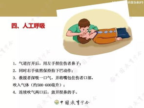 安全救護知識應學會