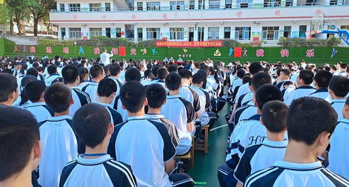 學校防毒安全知識教育講座