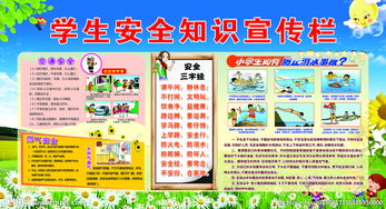 宣傳安全知識(shí)主題活動(dòng)那些