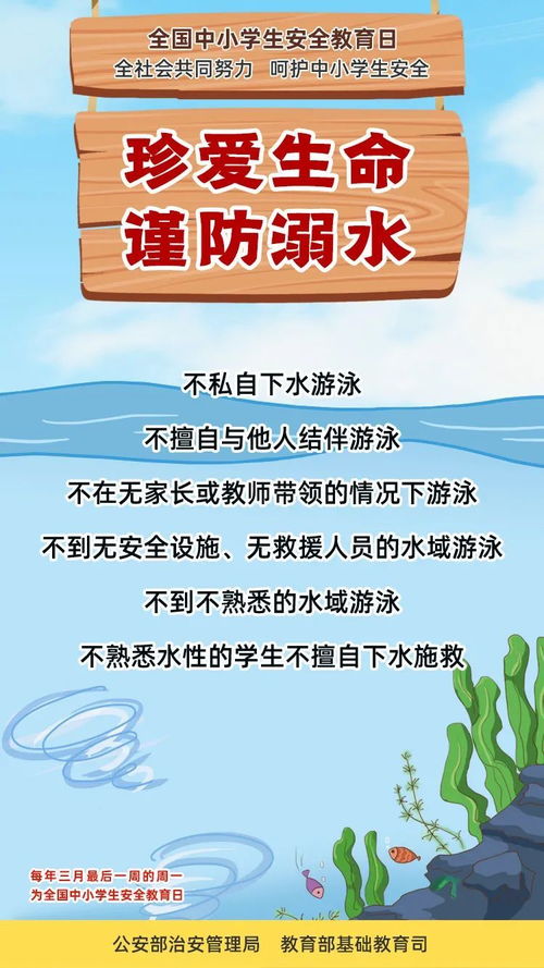 國家安全基礎知識小學生