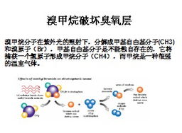 有毒有害氣體安全知識(shí)培訓(xùn)