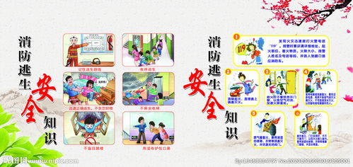 學生安全知識用語大全