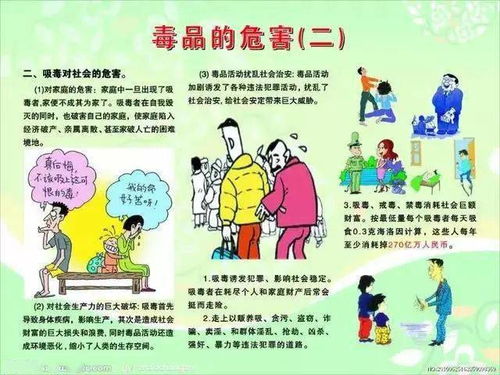 毒品與安全知識(shí)300字