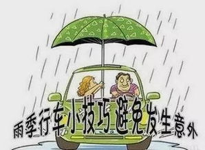 雨季汛期安全行車知識
