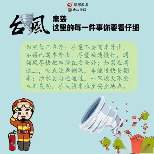 預(yù)防臺(tái)風(fēng)安全知識(shí)作文