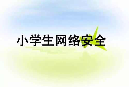 小學(xué)生網(wǎng)絡(luò)安全知識作業(yè)