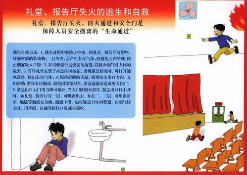 學生安全自救知識調(diào)查報告