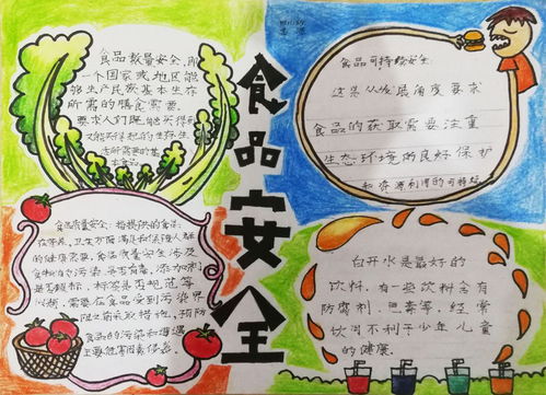 安全知識(shí)手抄報(bào)四級(jí)