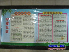 五月份國(guó)旗下安全知識(shí)講話