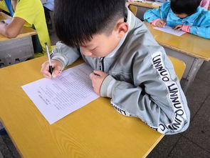 網(wǎng)絡(luò)安全小學(xué)知識(shí)問(wèn)答