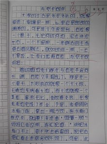 安全知識(shí)作文800字左右