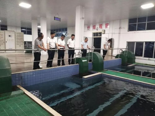 夏天自來水安全知識