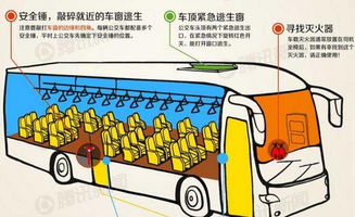 乘坐大巴小學生安全知識