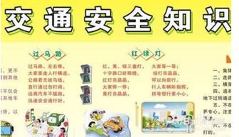 安全知識(shí)第一課讀后感450