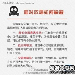 消防安全知識體會作文800字