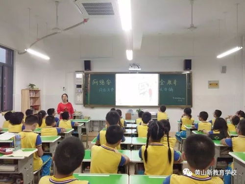 小學(xué)網(wǎng)絡(luò)安全知識(shí)主題班會(huì)教案