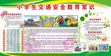 小學(xué)生交通安全知識培訓(xùn)材