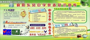 禁毒安全知識(shí)讀后感1500