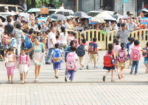 上學和放學路上安全教育知識