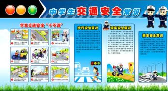 中學生交通安全知識讀后感