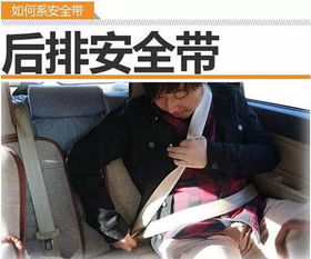 駕考安全帶知識(shí)