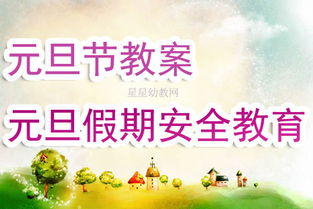 小學(xué)生元旦節(jié)安全教育知識