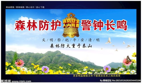 小學生清明森林防火安全知識總結(jié)