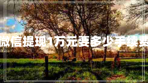 微信提現(xiàn)1萬(wàn)元要多少手續(xù)費(fèi)
