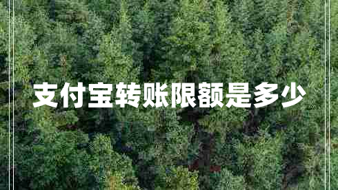 支付寶轉(zhuǎn)賬限額是多少
