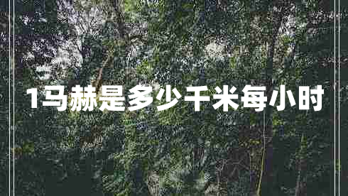 1馬赫是多少千米每小時