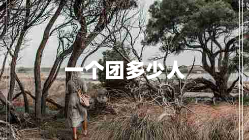 一個團多少人