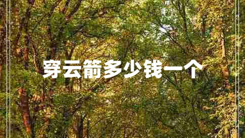 穿云箭多少錢一個