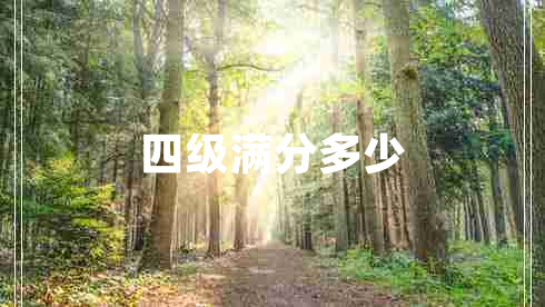 四級(jí)滿分多少