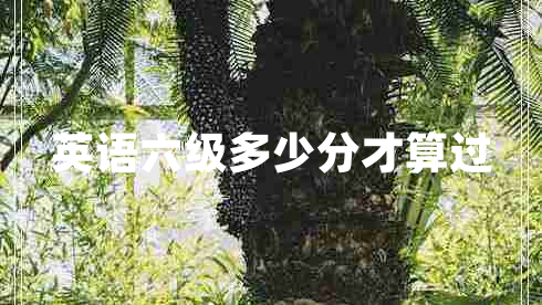 英語(yǔ)六級(jí)多少分才算過(guò)