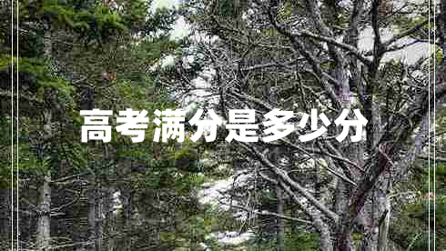 高考滿分是多少分