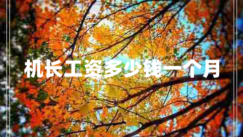 機(jī)長工資多少錢一個月