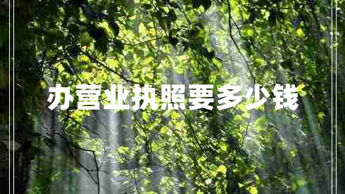 辦營業(yè)執(zhí)照要多少錢