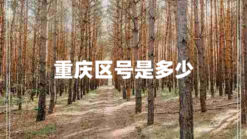 重慶區(qū)號(hào)是多少