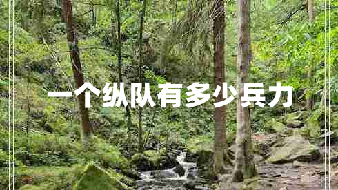 一個縱隊有多少兵力