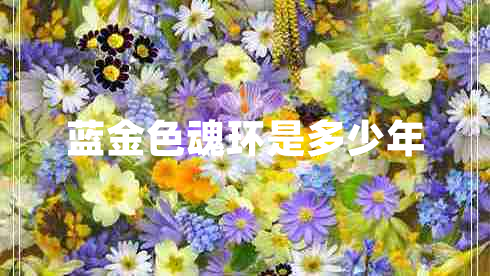 藍(lán)金色魂環(huán)是多少年