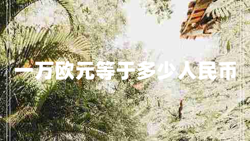 一萬歐元等于多少人民幣