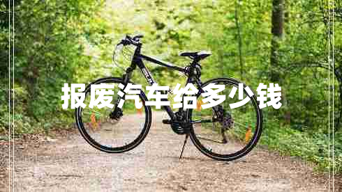 報(bào)廢汽車(chē)給多少錢(qián)