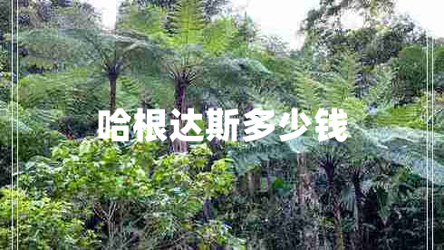 哈根達(dá)斯多少錢