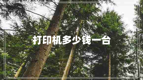打印機(jī)多少錢一臺(tái)