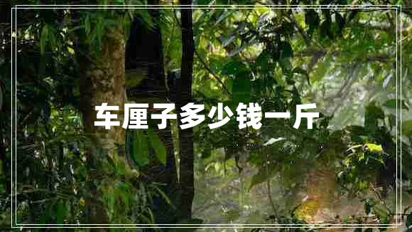 車(chē)?yán)遄佣嗌馘X(qián)一斤