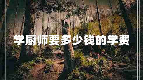 學(xué)廚師要多少錢的學(xué)費