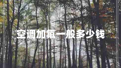 空調(diào)加氟一般多少錢